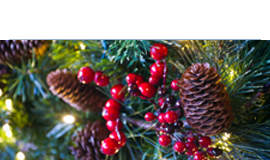 St. Louis Christmas Decor Uses Premium Products for All Holiday Displays.